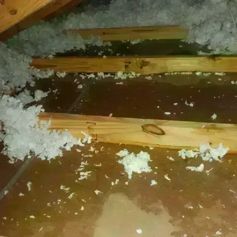 Attic Water Damage in Tuckahoe, VA