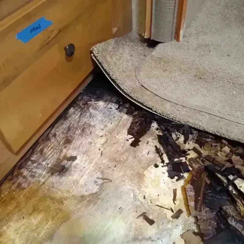 Best Wood Floor Water Damage Service in Tuckahoe, VA